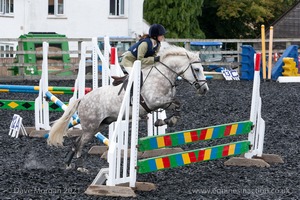 Class 5 - Fences not above 2'6